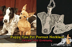Littledogtips: Custom Dog Portrait Necklace Giveaway