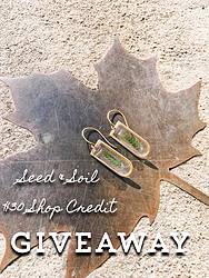 Green Chic Life: $30 Seed & Soil Giveaway