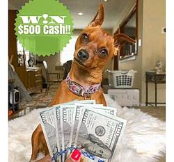 Our Fab Fash Life: $500 Cash Giveaway