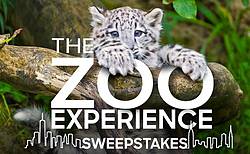 Animal Planet Zoo Experience Sweepstakes