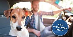 Nationwide Pet Road Trip With Rover Sweepstakes