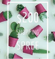 The Boho Cactus Co $200 Shopping Spree Giveaway