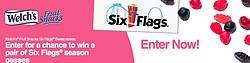 Welch’s Fruit Snacks Six Flags Sweepstakes