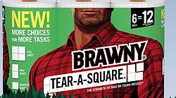 The Brawny Tear-a-Square Summer Sweepstakes