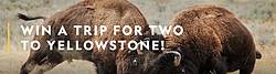 National Geographic “Yellowstone Live” Sweepstakes