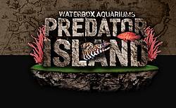 WaterBox Aquariums Pedator Island Sweepstakes