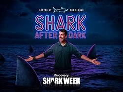 Discovery Channel Shark After Dark Sweepstakes
