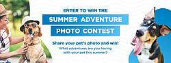 VIP Petcare Summer Adventure Photo Contest