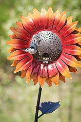 Raise Your Garden: Yellow or Red Velvet Sunflower Bird Feeder Giveaway