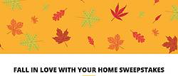 Stanley Steemer Fall in Love With Your Home Sweepstakes