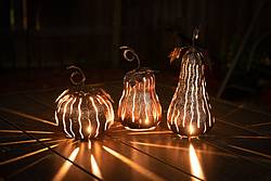 Raise Your Garden: 3 Mini Gourd/pumpkin Luminaries From Desert Steel Giveaway