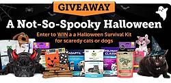 1-800-PetMeds Not-So-Spooky Halloween Sweepstakes