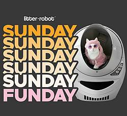 Litter Robot Sunday Funday Giveaway