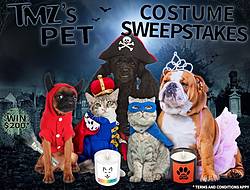 TMZ’s Halloween Pet Costume Sweepstakes