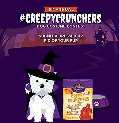 Wellness Core Annual #CreepyCrunchers Dog Costume Contest