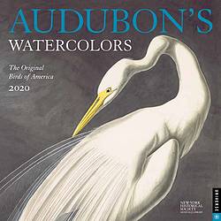Handmadebydeb: Audubon's Watercolors 2020 Wall Calendar Giveaway