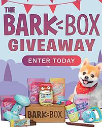 Good Pooch Bark Box Giveaway