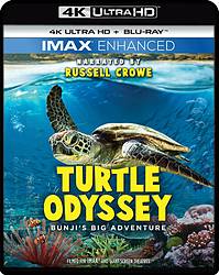 Mamalikesthis: Turtle Odyssey Giveaway