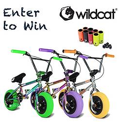 Wildcat Mini BMX Bike Giveaway