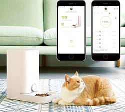 Modern Cat Magazine Automatic Pet Feeder Giveaway