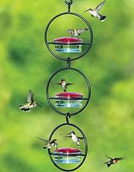 Raise Your Garden: Triple Glass Orb Hummingbird Feeder Giveaway!