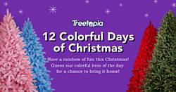 12 Colorful Days of Christmas Giveaway