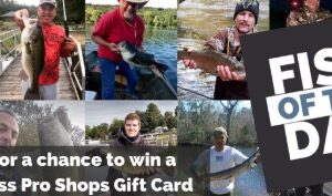 Fish-of-the-Day Contest