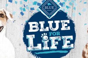 Blue Buffalo Summer Sweepstakes