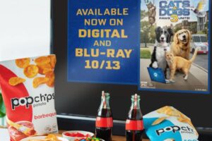 Popchips Ultimate Movie Night Sweepstakes