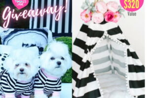 Toodles Lane Ultimate Pup Lounge Giveaway