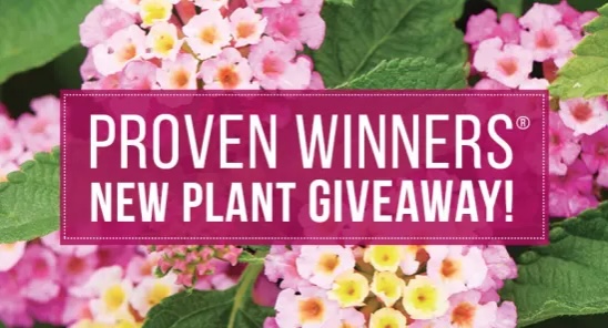 Garden Gate Magazine New Plant Giveaway – I Love Giveaways