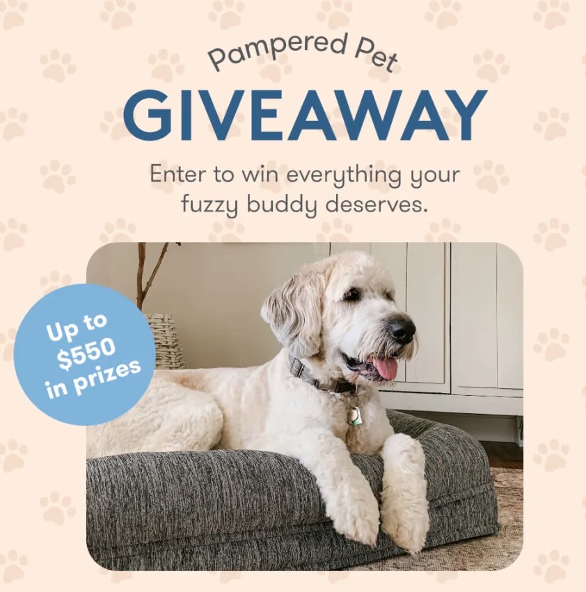 Pampered Pet Giveaway I Love Giveaways