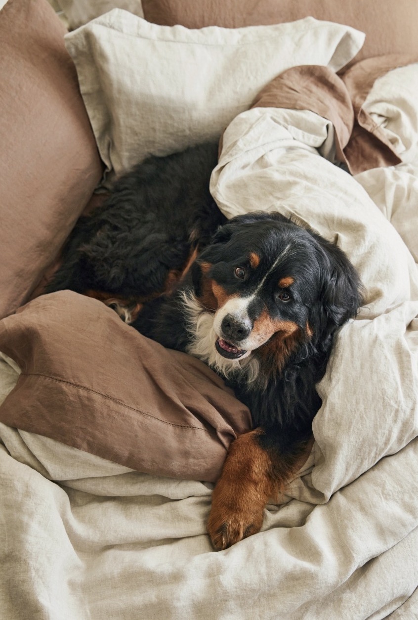 Pottery Barn Bed of Your Dreams Sweepstakes I Love Giveaways